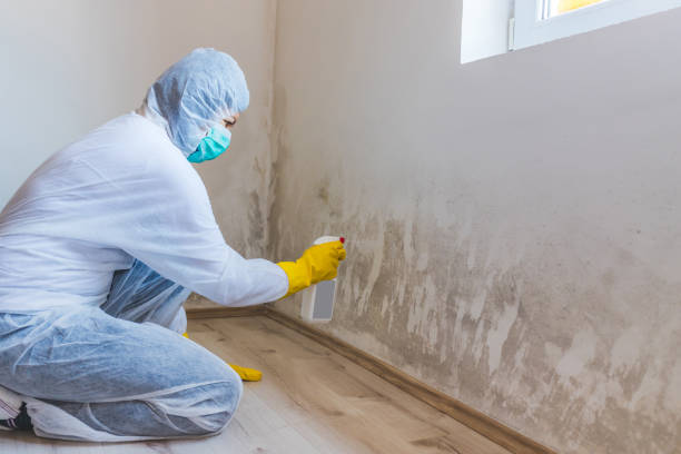 Crawl Space Mold Remediation treatment of floor joists in Poplar Branch